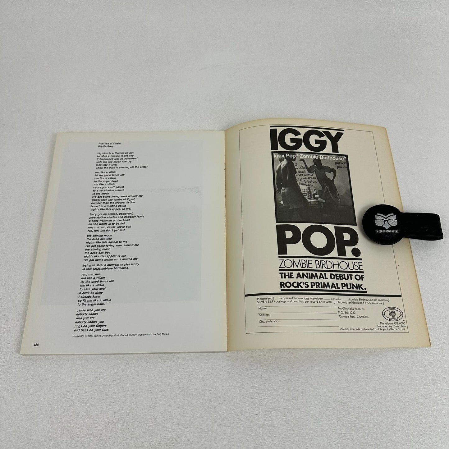 I Need More The Stooges and Other Stories Iggy Pop Anne Wehrer Biography Memoir