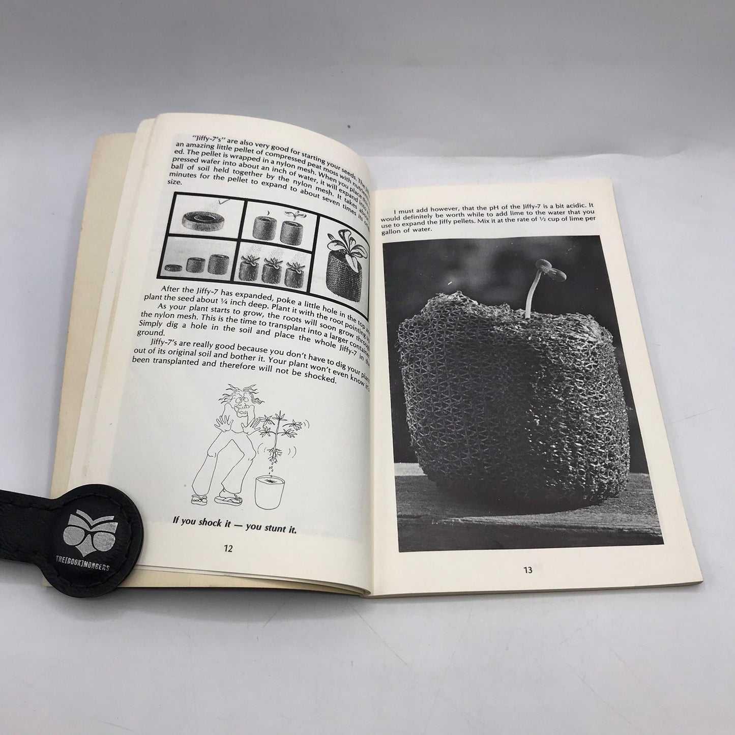 How To Grow Marijuana Indoors Under Light Murphy Steven Cannabis Gardening