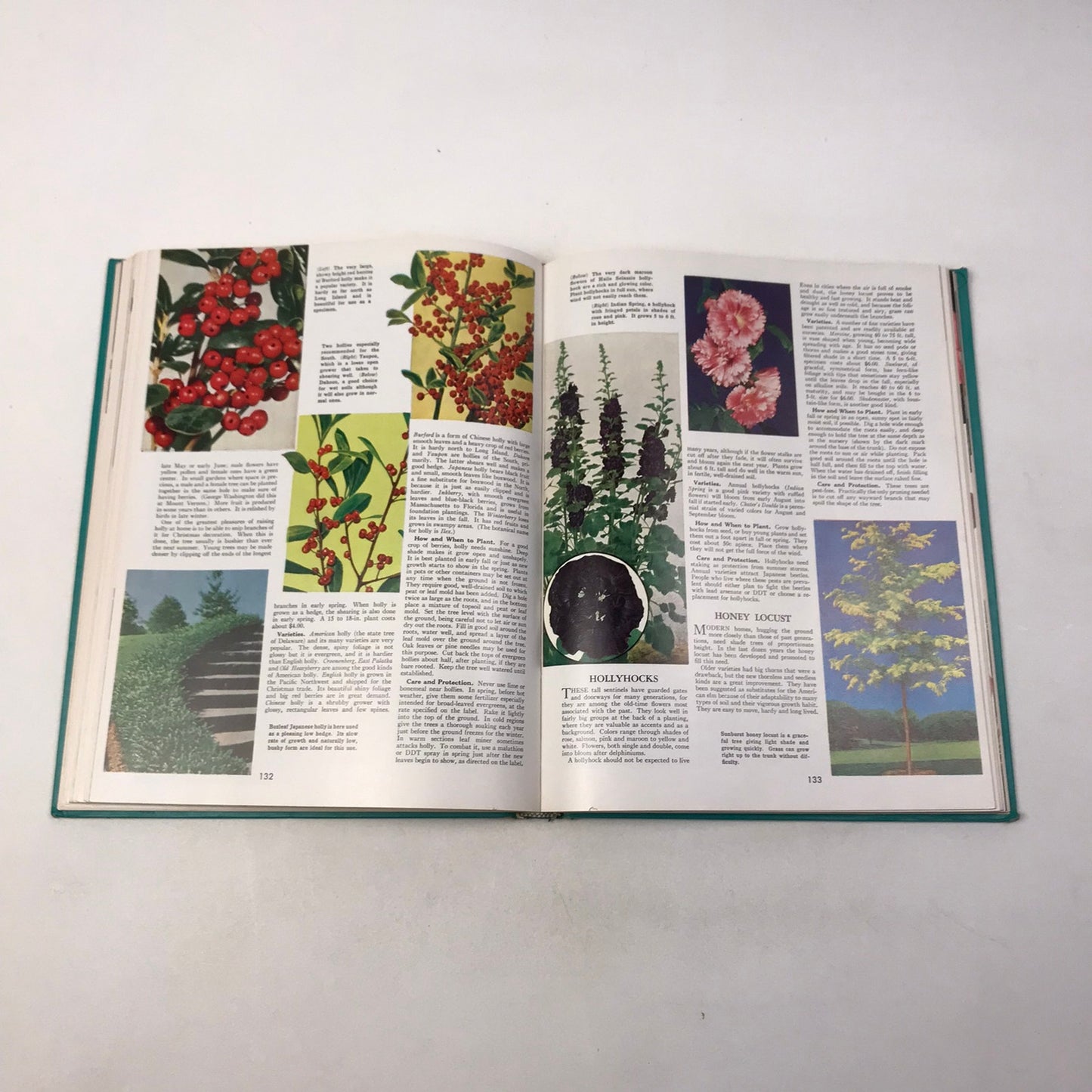 The Complete Guide To Garden Flowers Herbert Askwith Encyclopedia Plants Nature