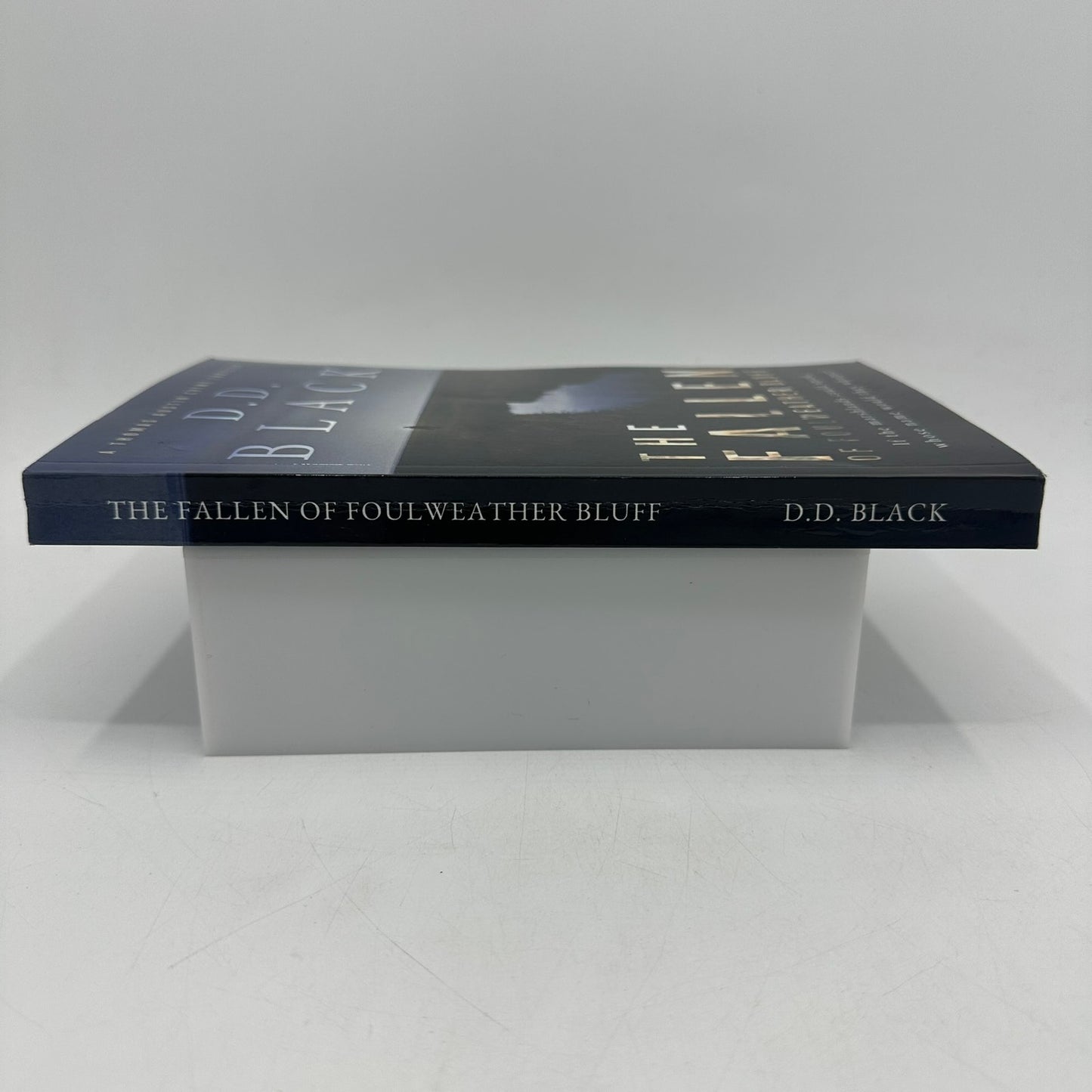 The Fallen of Foulweather Bluff Thomas Austin Crime Thriller by D D Black SIGNED