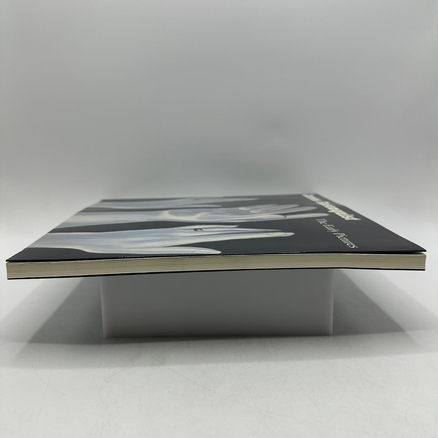 James Rosenquist The Early Pictures 1961 to 1964 Judith Goldman Art Monographs