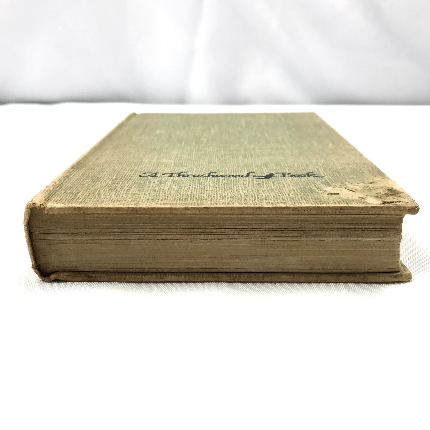 The Wind in the Willows Kenneth Grahame Childrens Classic Fantasy Animals 1913