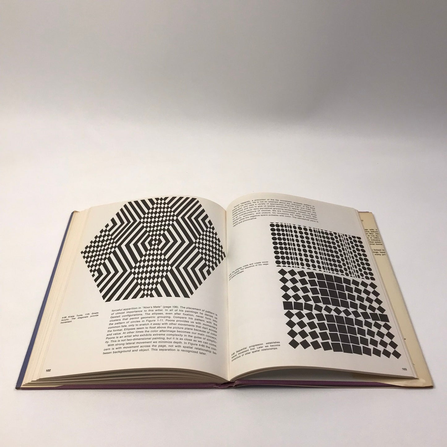 Optical Art Theory and Practice Rene Parola Influental Modern Contemporary 1969