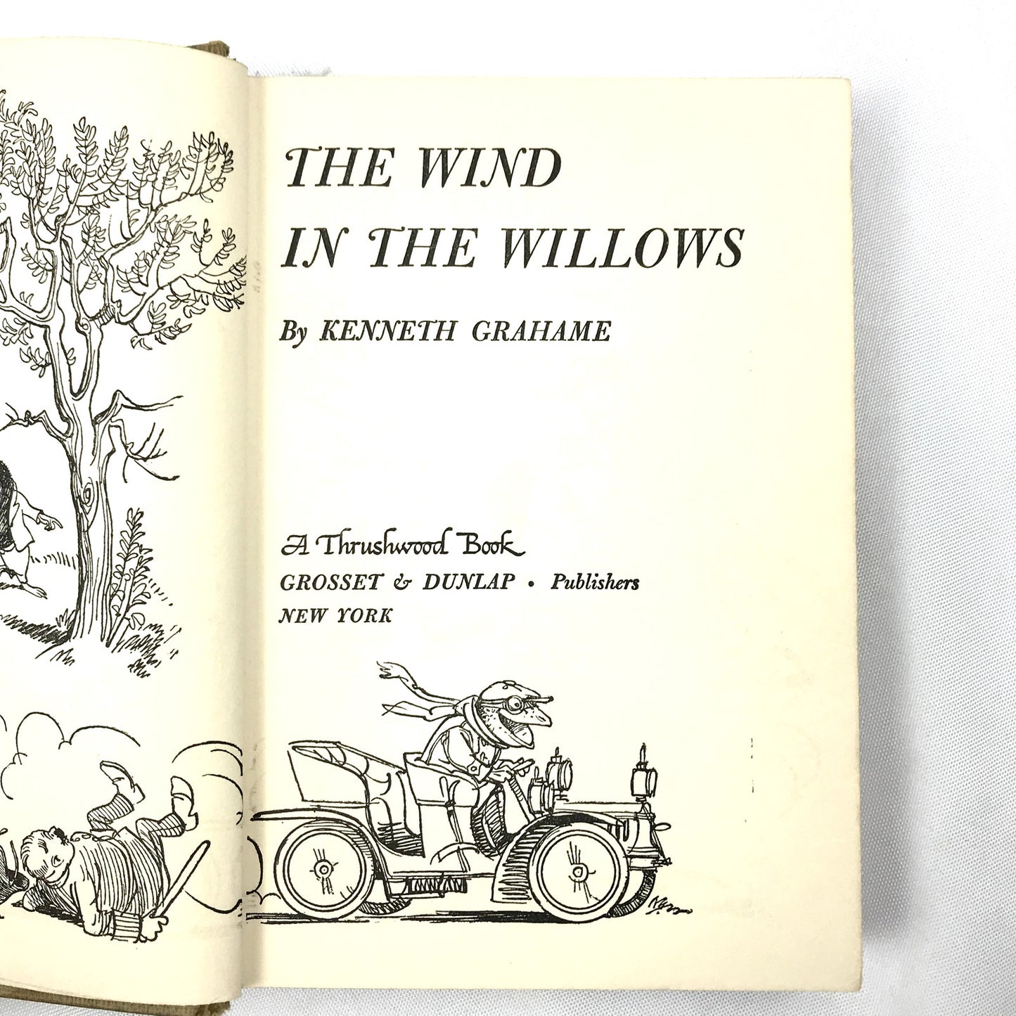The Wind in the Willows Kenneth Grahame Childrens Classic Fantasy Animals 1913