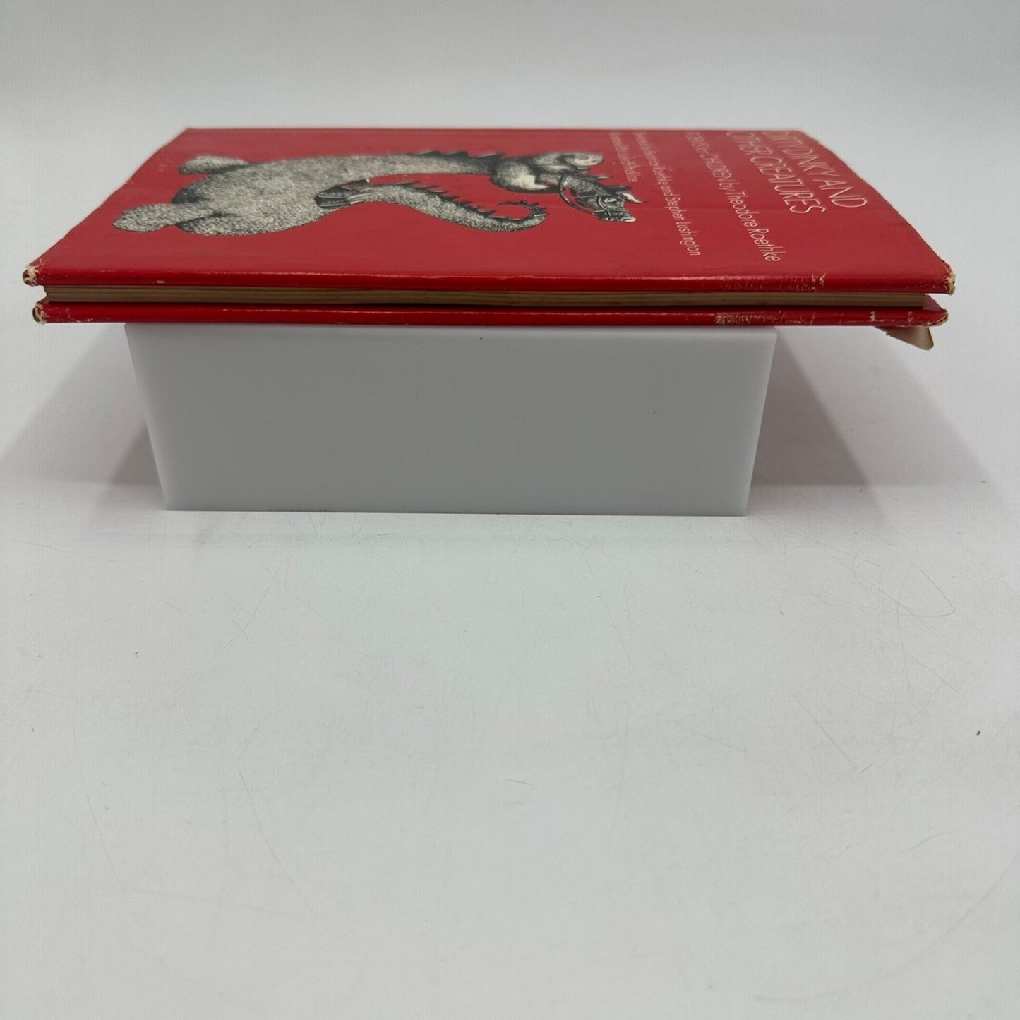 Dirty Dinky & Other Creatures Roethke 1973 1st Ed Illustrated Children's Poetry