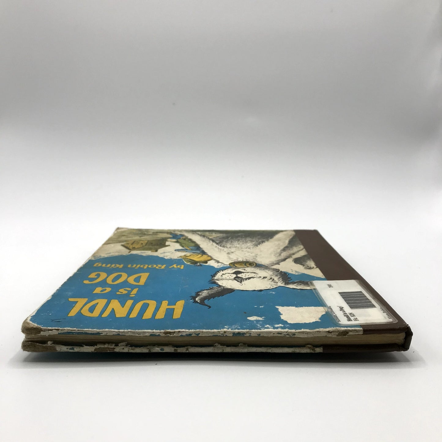 Hundl is a Dog Children's Fiction Hardcover Book by Robin King 1st Edition 1956