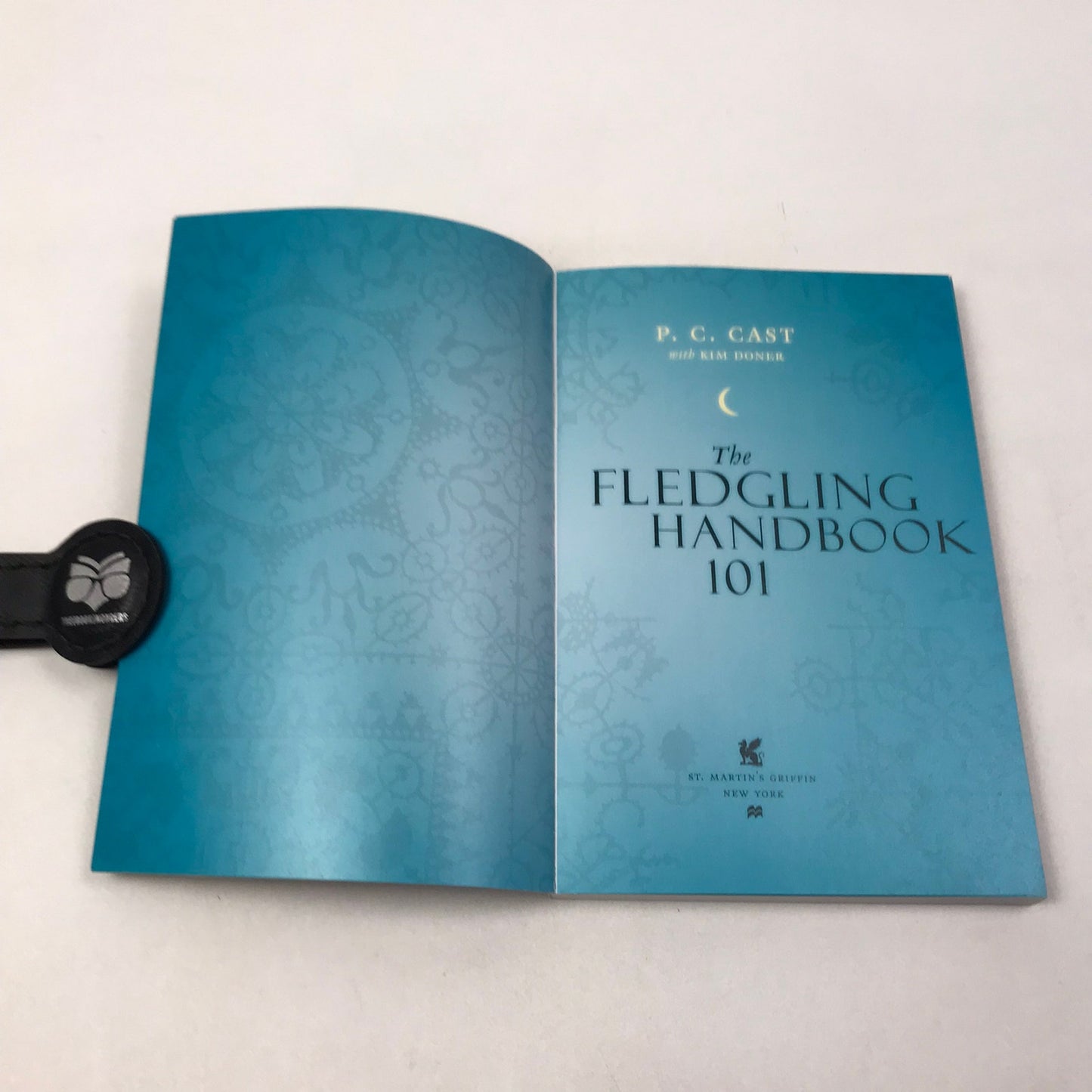 House of Night Series P C and Kristin Cast Lot of 11 Supernatural Fantasy Novels