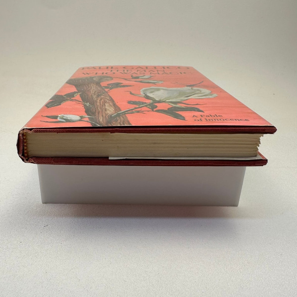 The Man Who Was Magic Paul Gallico 1966 First Edition Fable Doubleday