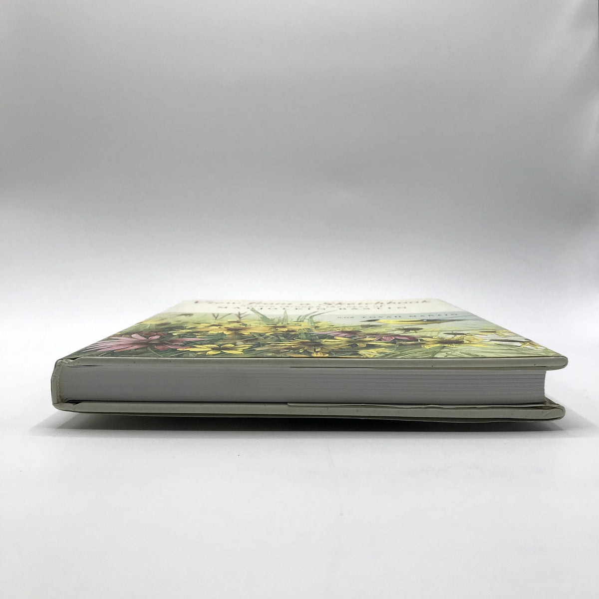 View from a Sketchbook Marjolein Basti First Printing Illustrated Hardcover 2004