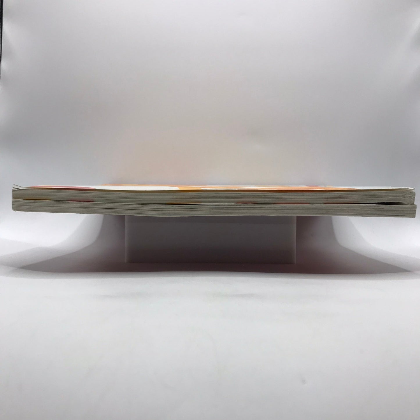 Secession IVAM Sue Williams Art For Institution and Home Catalog Regen Project