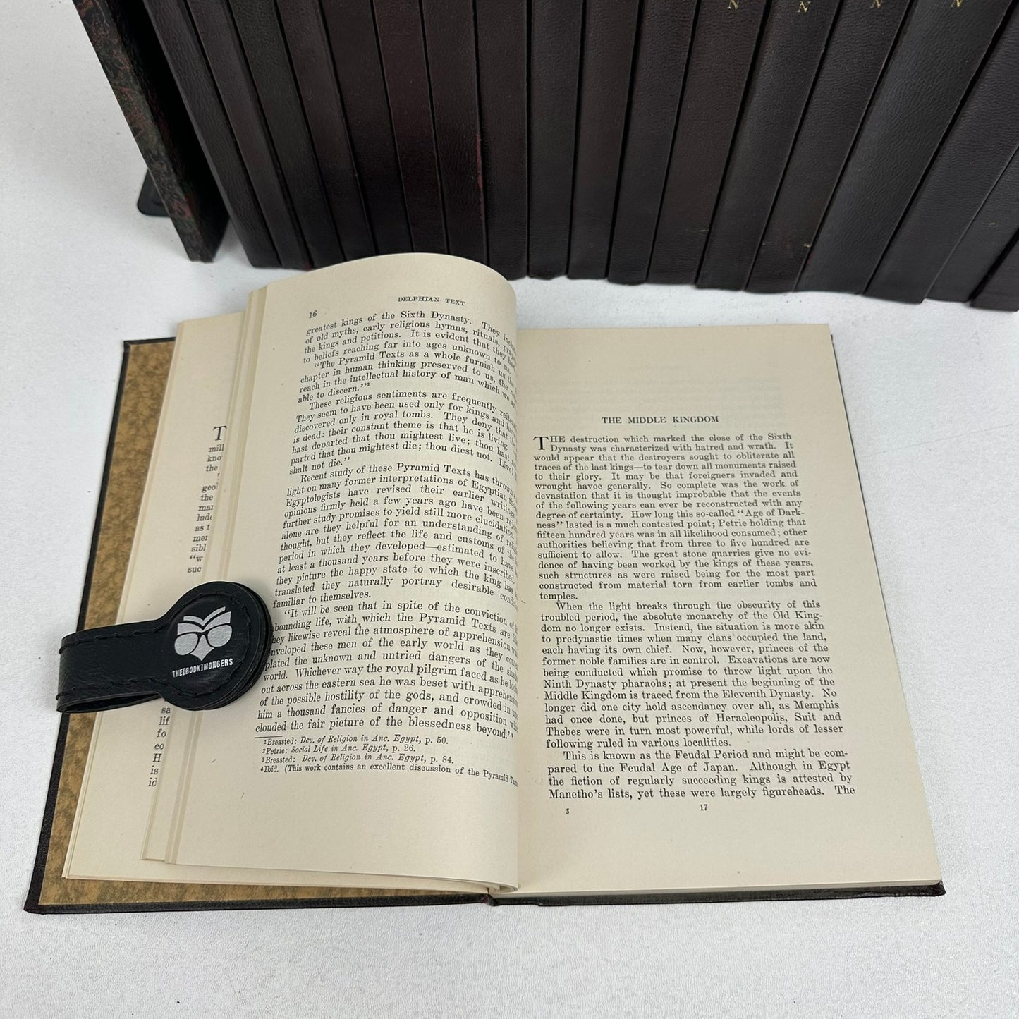 Delphian Text 19 Volumes plus Topical Outlines Leather Bound History Philosophy