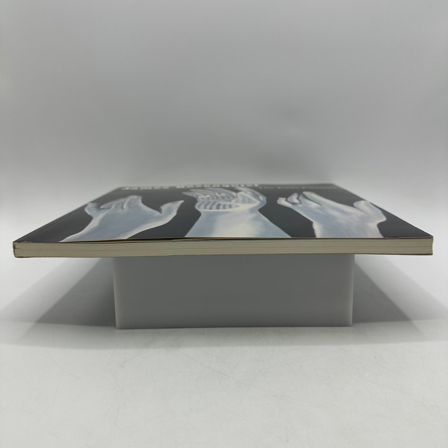 James Rosenquist The Early Pictures 1961 to 1964 Judith Goldman Art Monographs