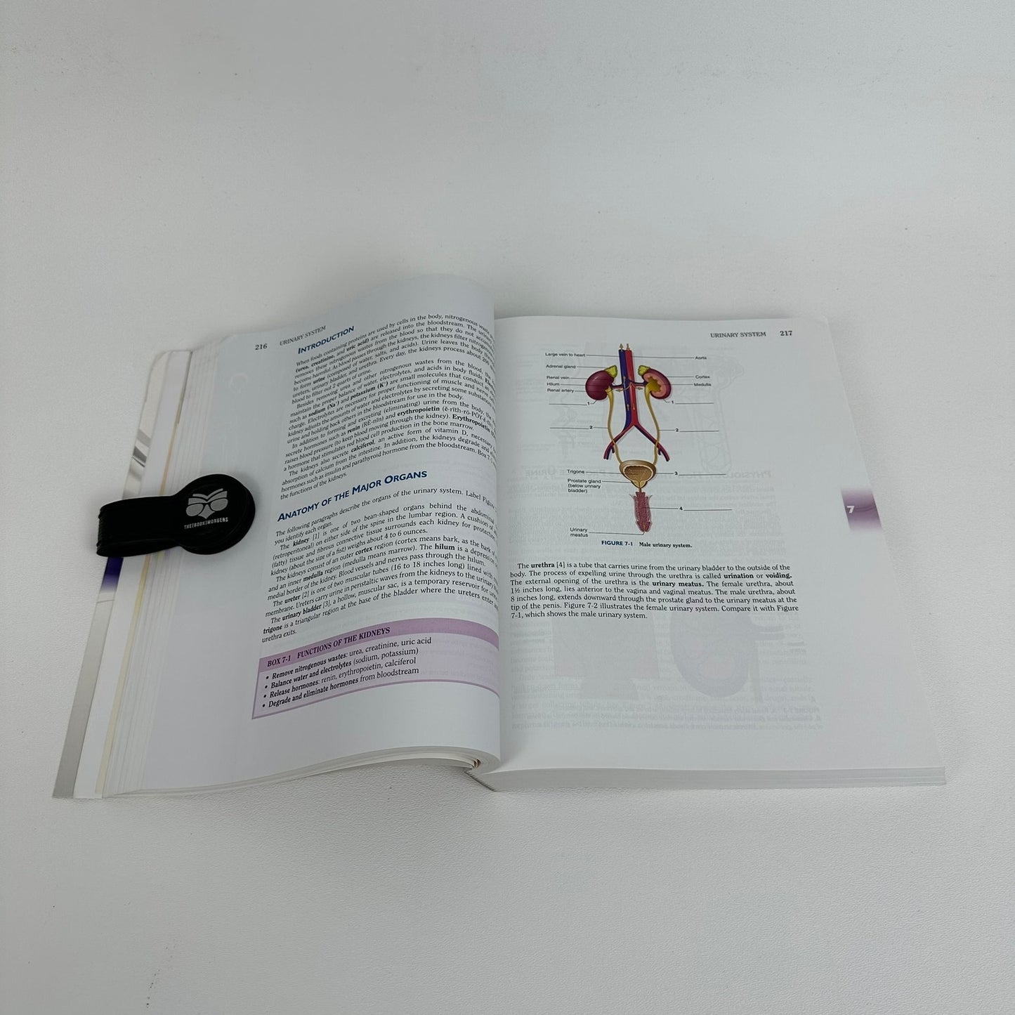 Language of Medicine Davi Ellen Chabner 10th Edition Health Medical Dictionary