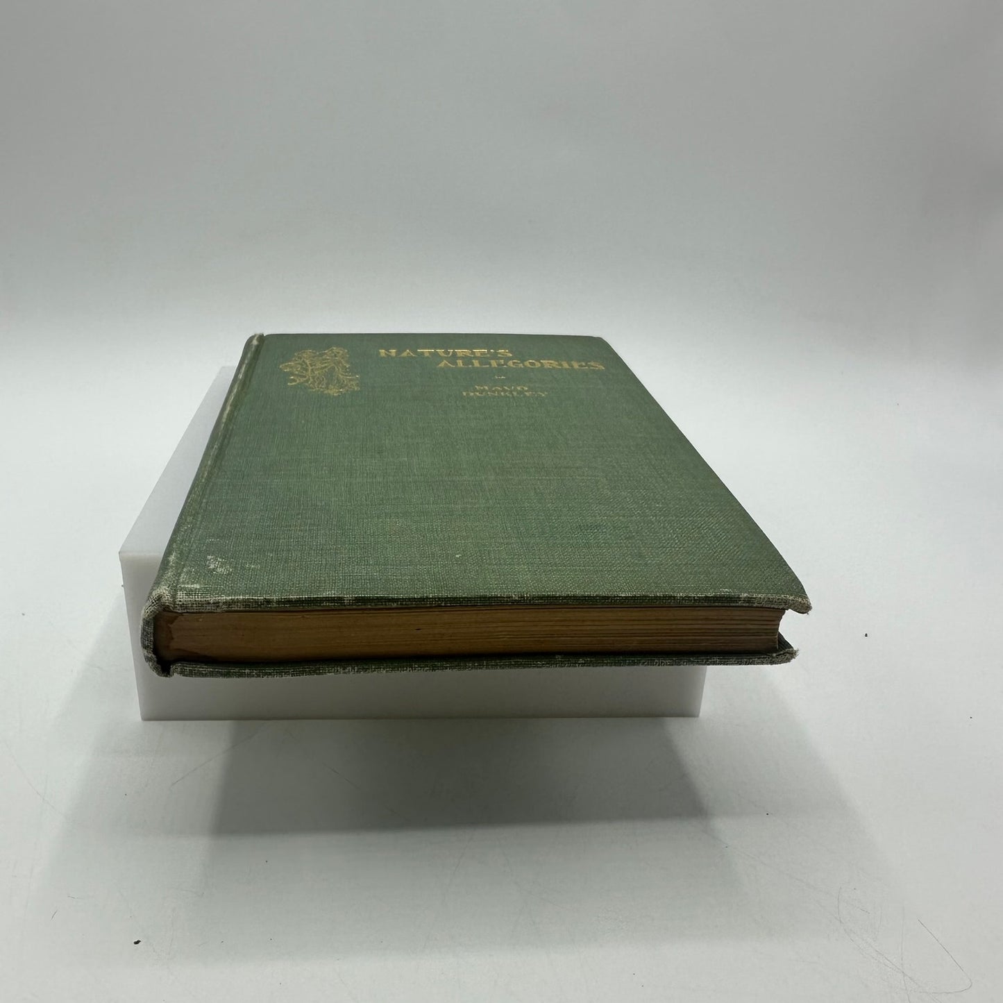 Natures Allegories and Poems Maud Dunkley Poetry Historical Literary Collection