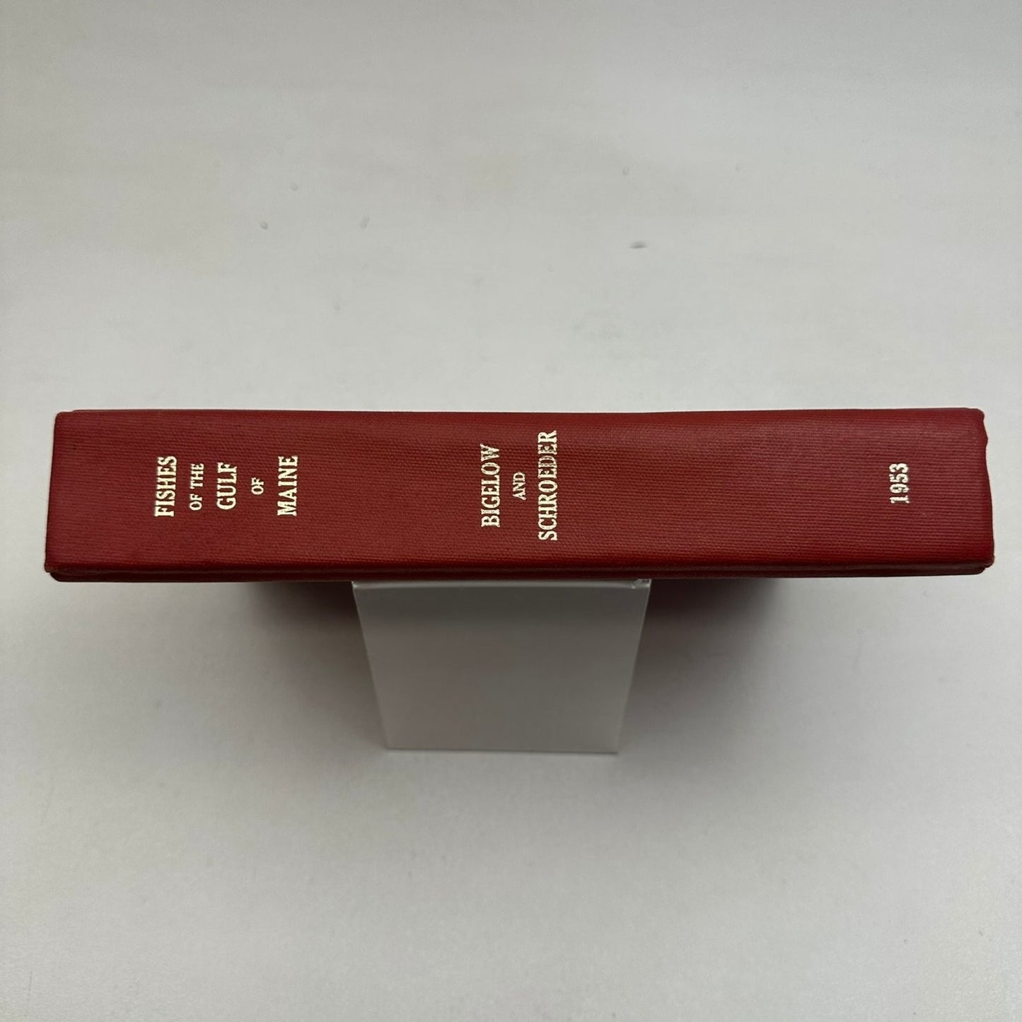 Fishes of the Gulf of Maine Bigelow Schroeder 1953 First Revision Ichthyology