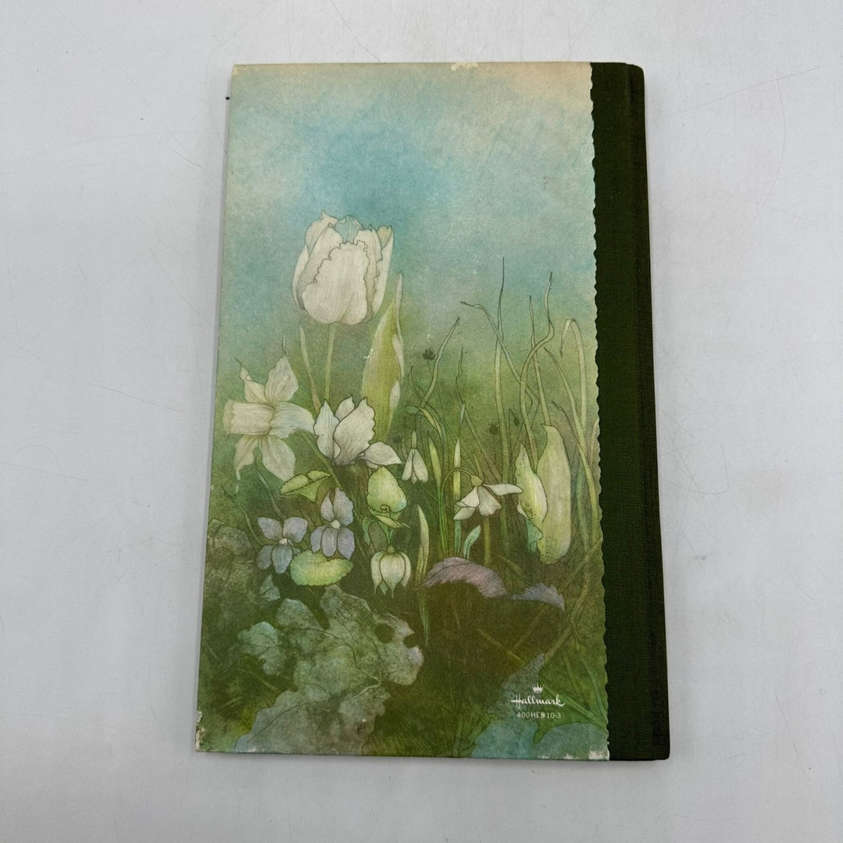 And Spring Shall Come Hallmark Poetry Illustrated Hardcover Book 1971