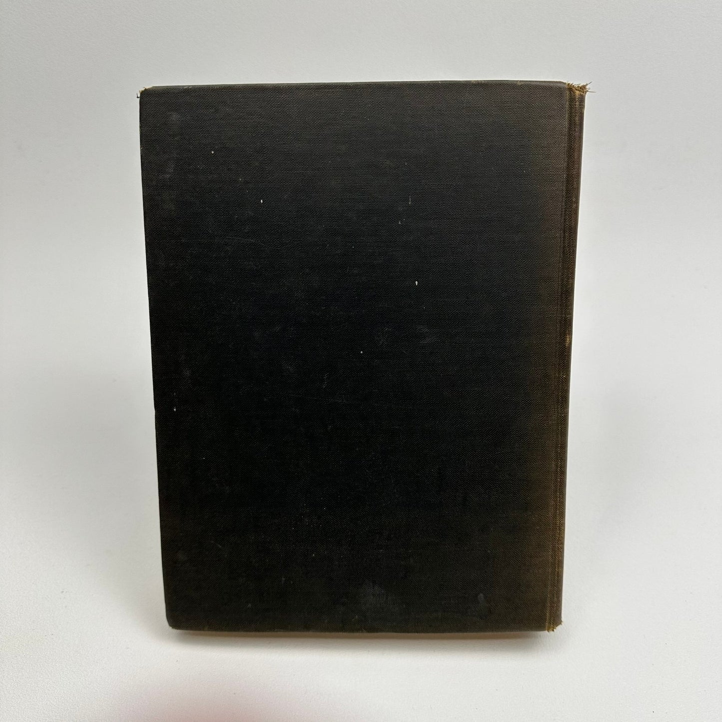 The Black Arrow Robert Louis Stevenson Tale of Two Roses Color Plates Wyeth 1916