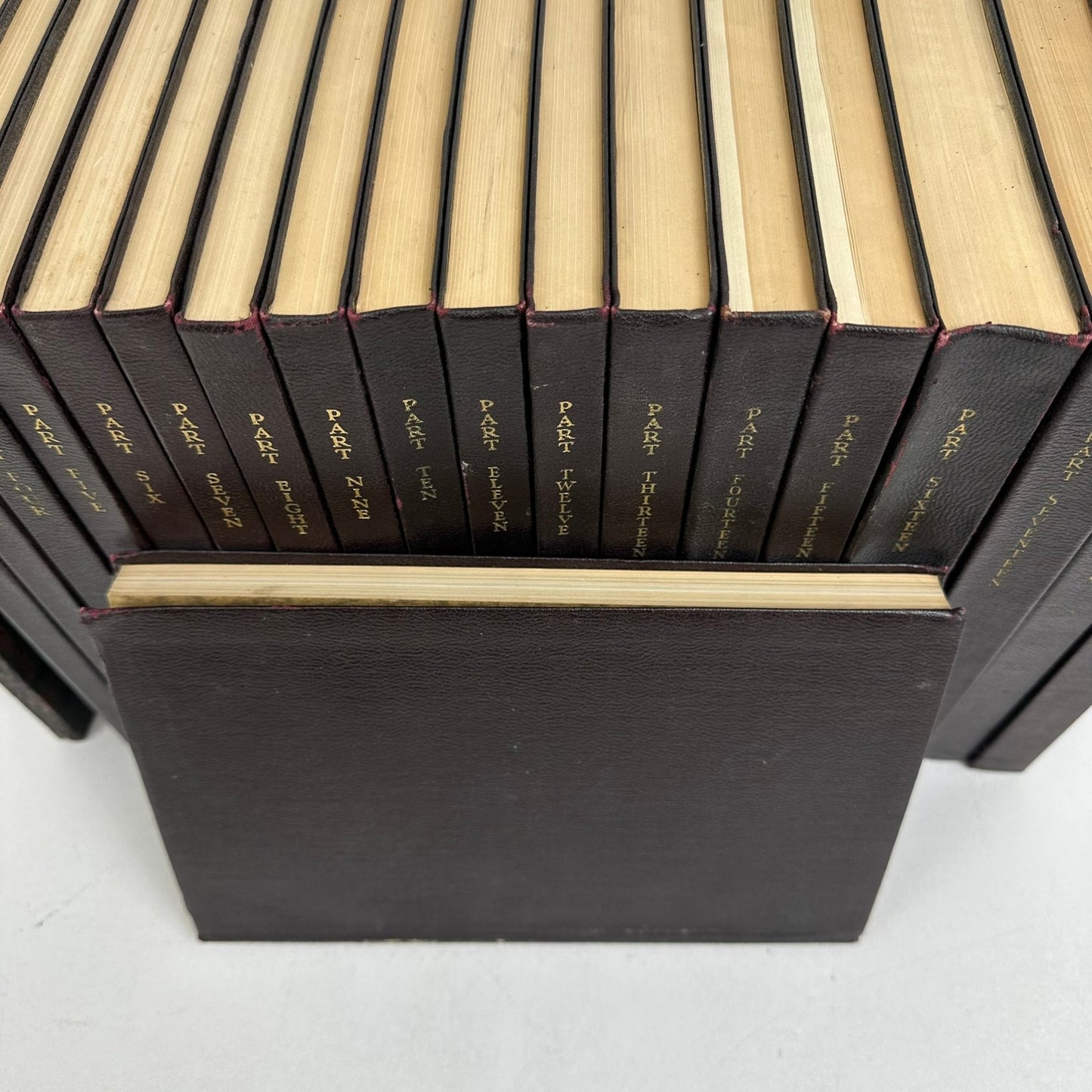 Delphian Text 19 Volumes plus Topical Outlines Leather Bound History Philosophy