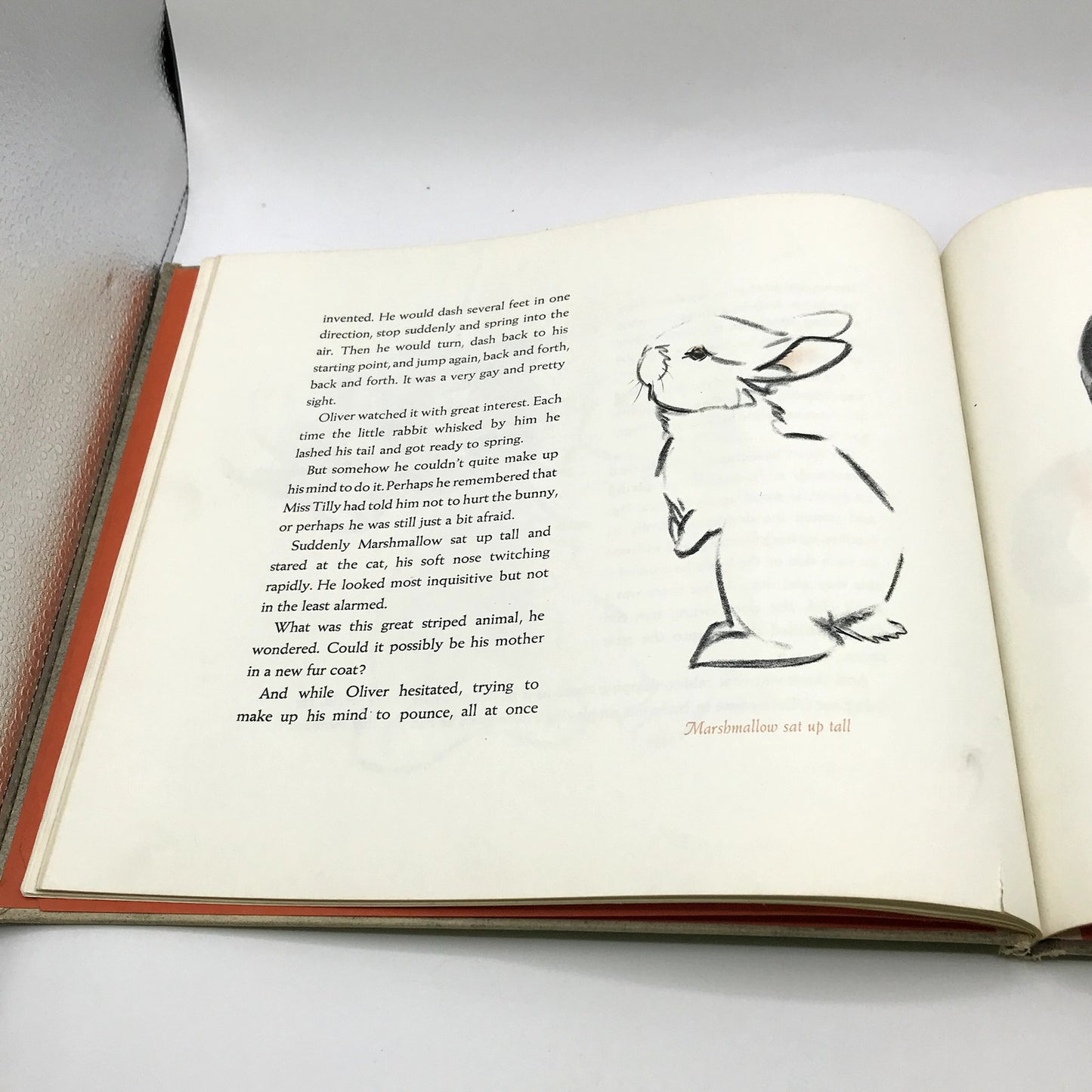 Marshmallow Rare Illustrated Hardcover by Clare Turlay Newberry 1942 1st Edition