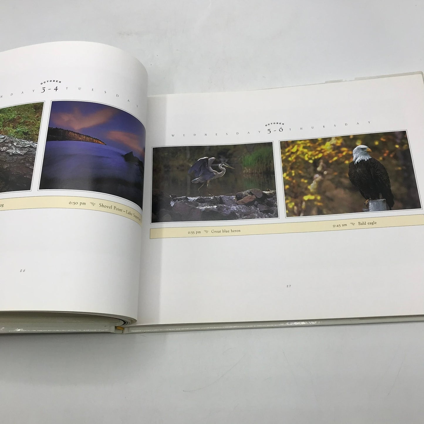 Chased by the Light A 90 Day Journey Jim Brandenburg with Signed Photo of Loon