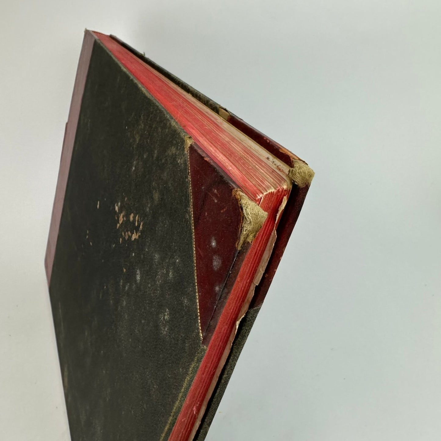 The Dream City World's Columbian Exposition 1893 Halsey C. Ives Photo Portfolio