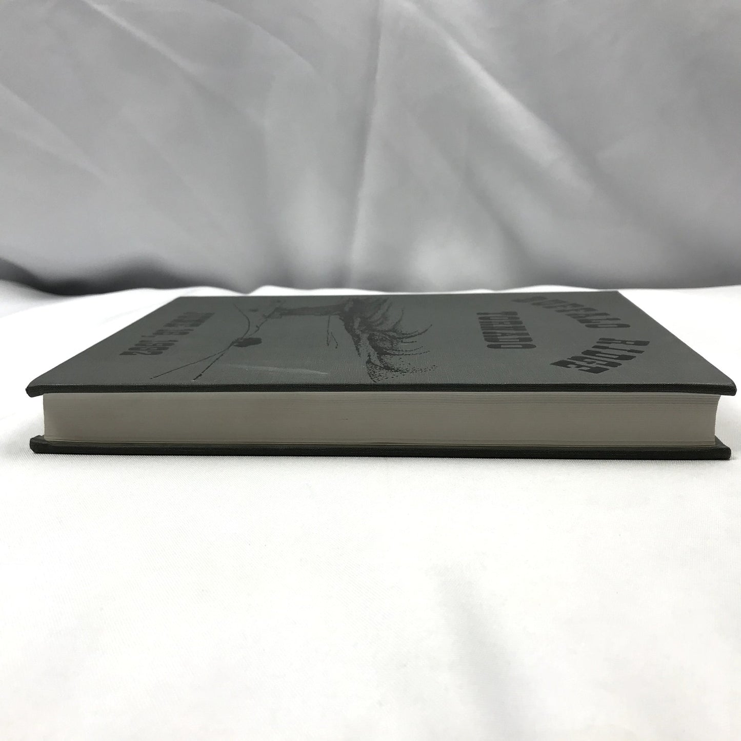 Buffalo Ridge Tornado Gary Richter Minnesota Local History Natural Disaster 1992