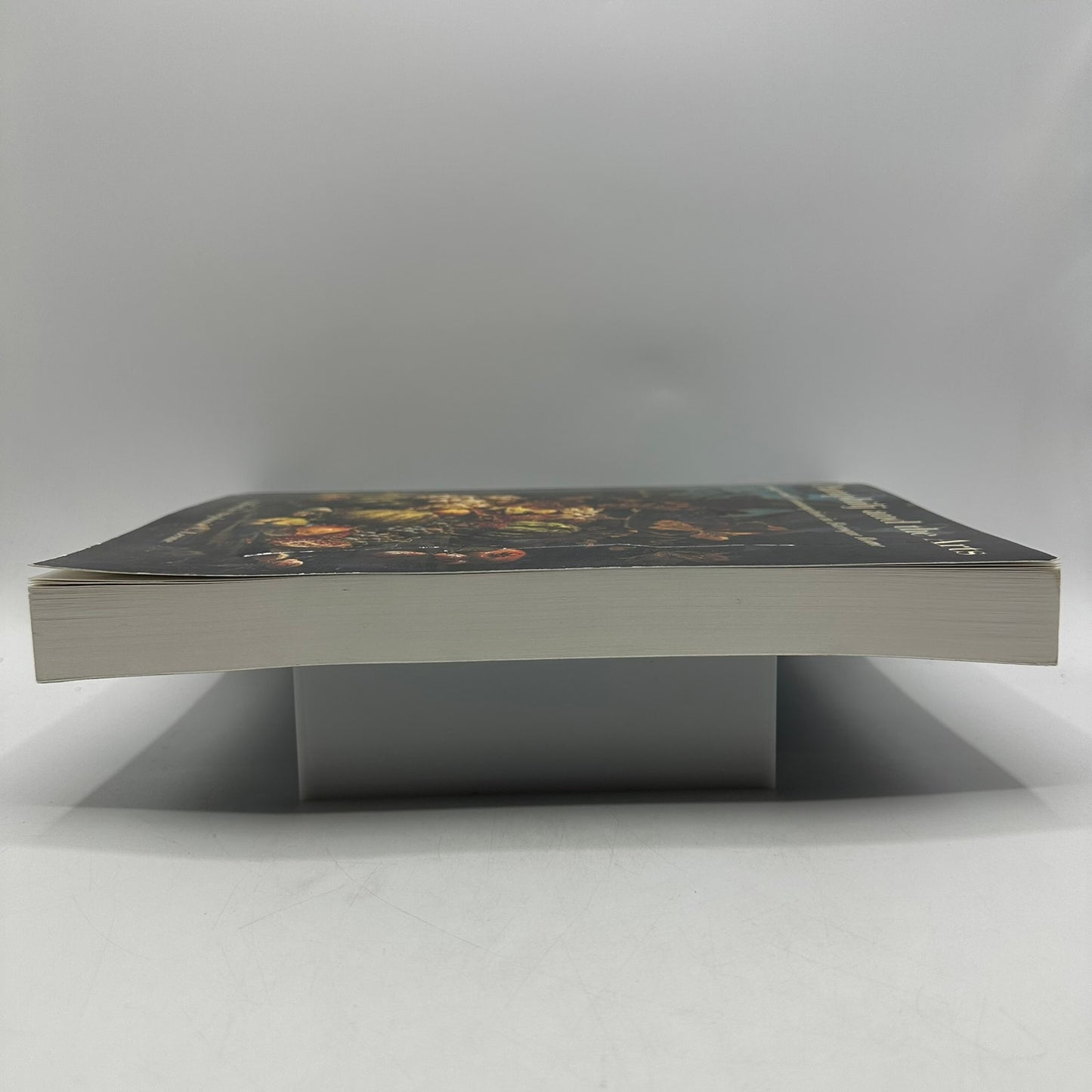 The Pamphilj and the Arts Stephanie C Leone Baroque Rococo History Criticism