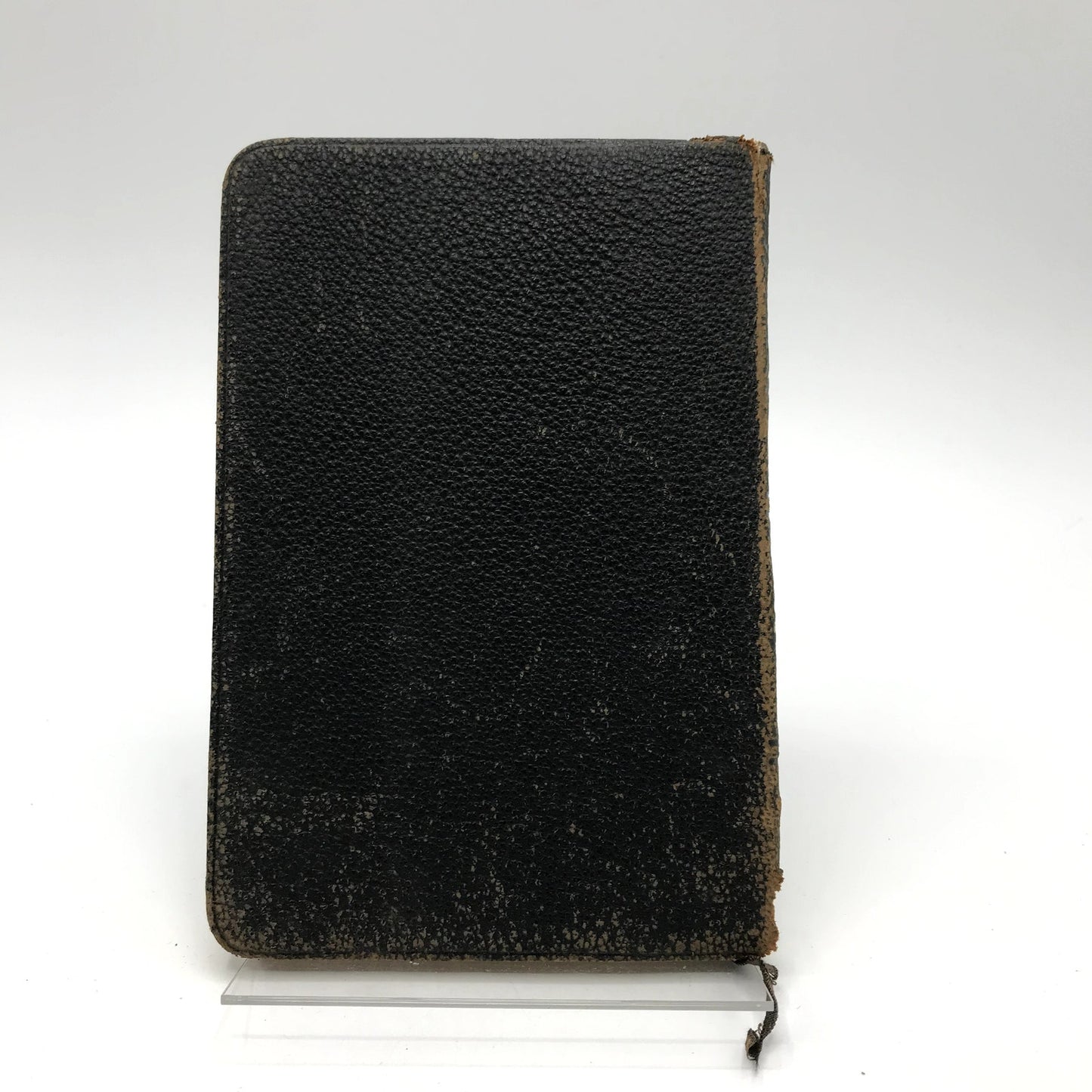 Poems by Mary Baker Eddy Raise The Dead, Heal the Sick Christian Hardcover 1910