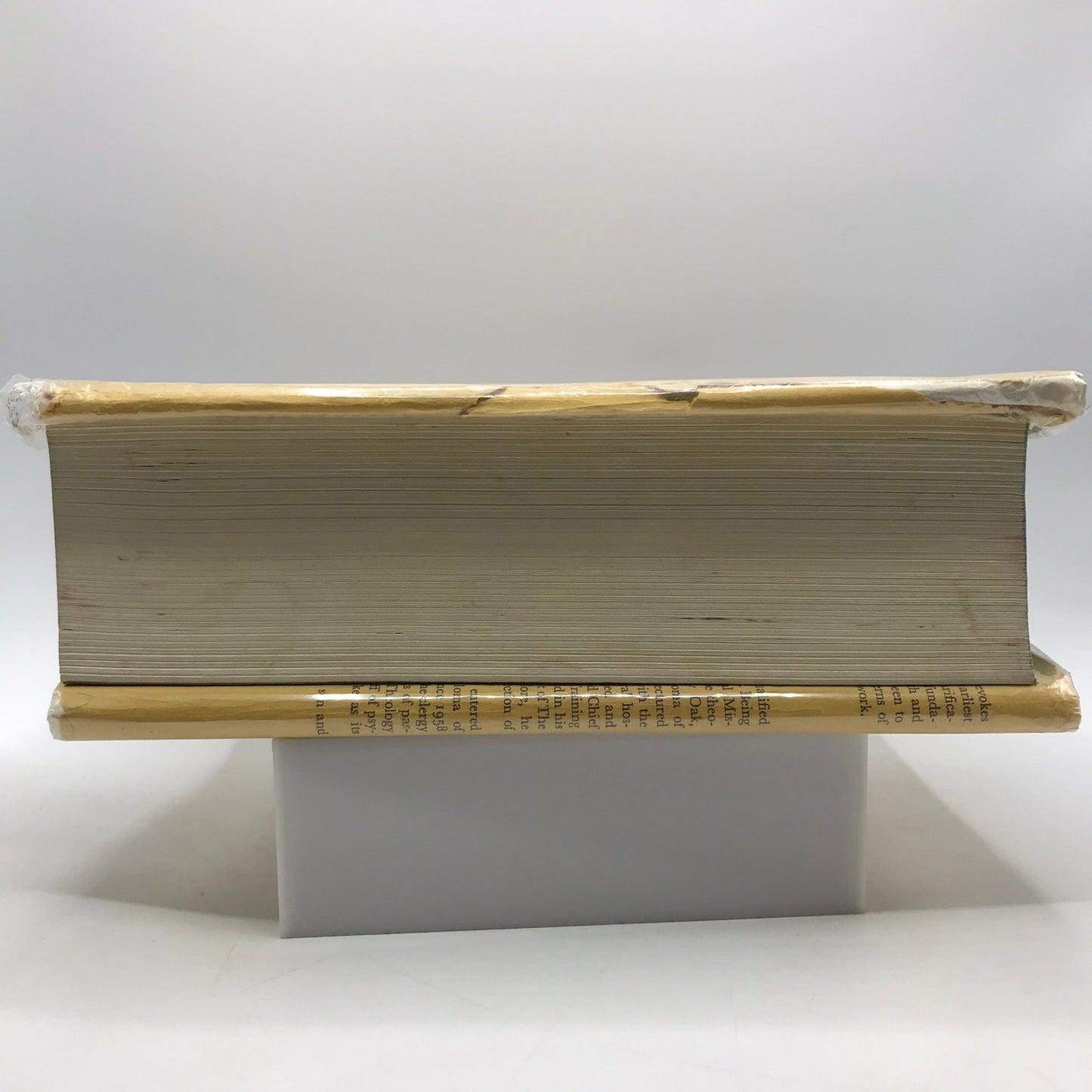 Clinical Theology Frank Lake Recovery Counseling Religious Pastoral Psychology