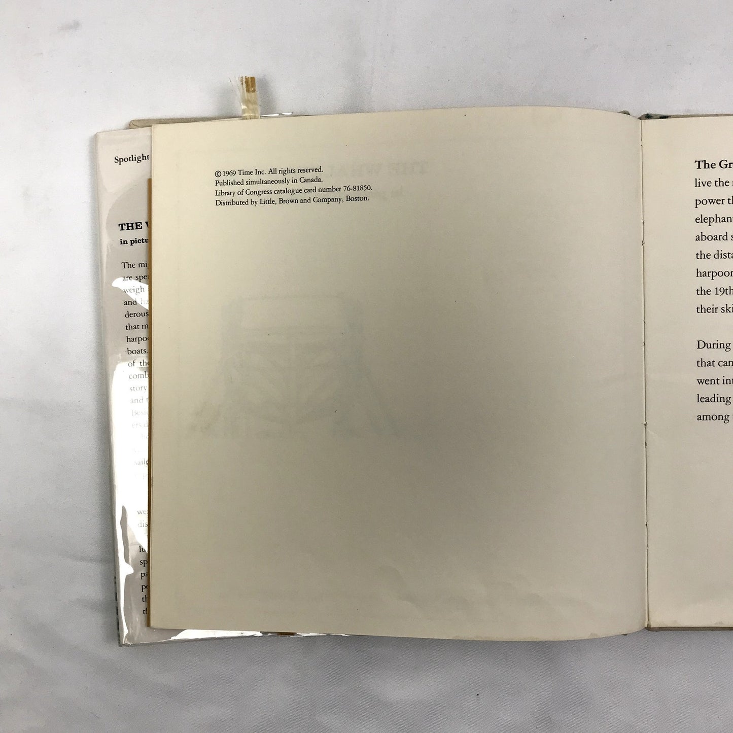 The Whale Hunters in Pictures Spotlight On History Hardcover by Joseph Phelan