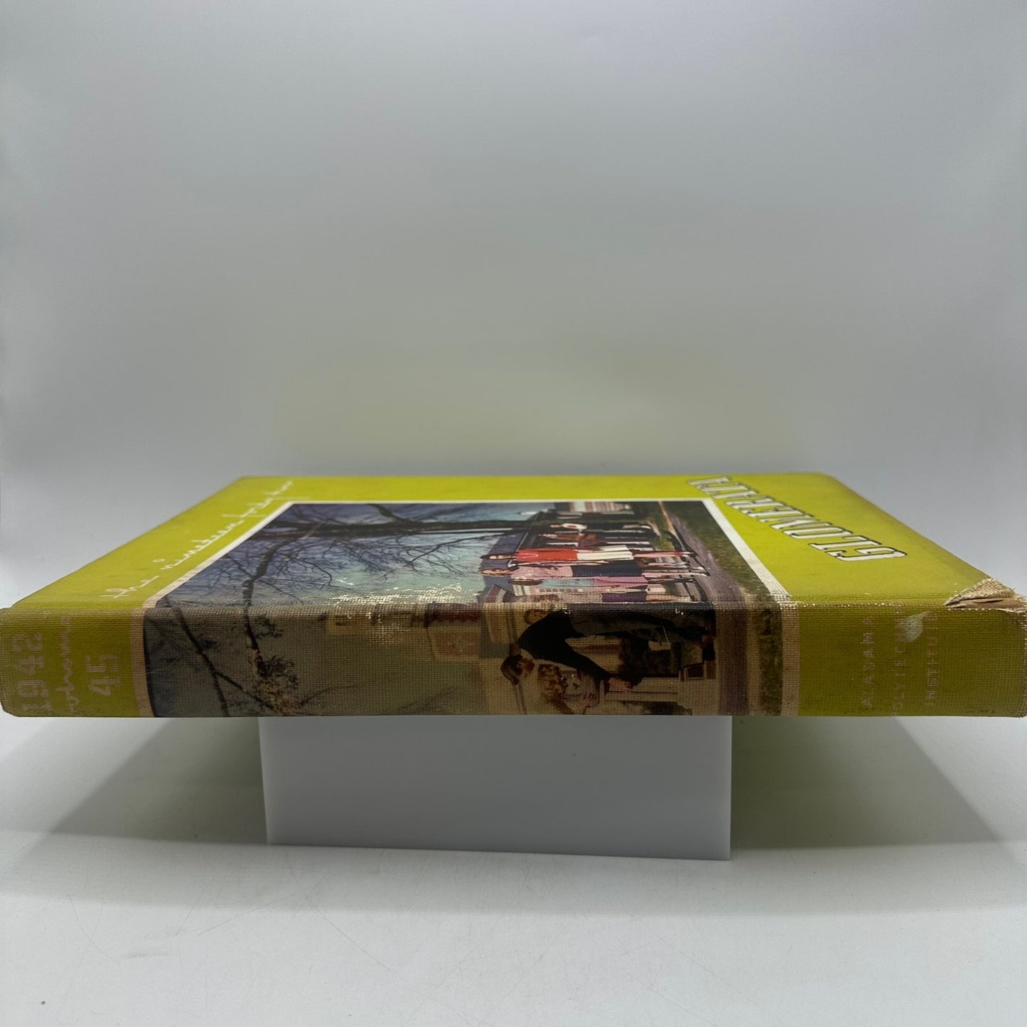 Glomerata 1942 Alabama Polytechnic Institute Auburn University Yearbook History