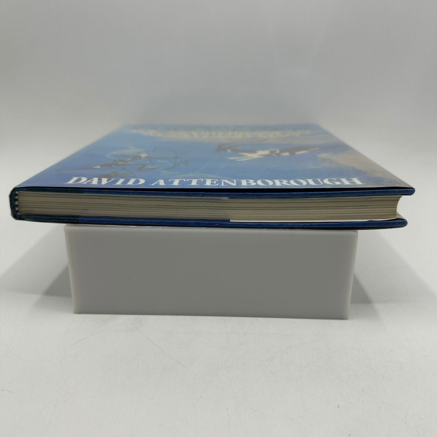 The First Eden David Attenborough 1987 First Edition Mediterranean World Little