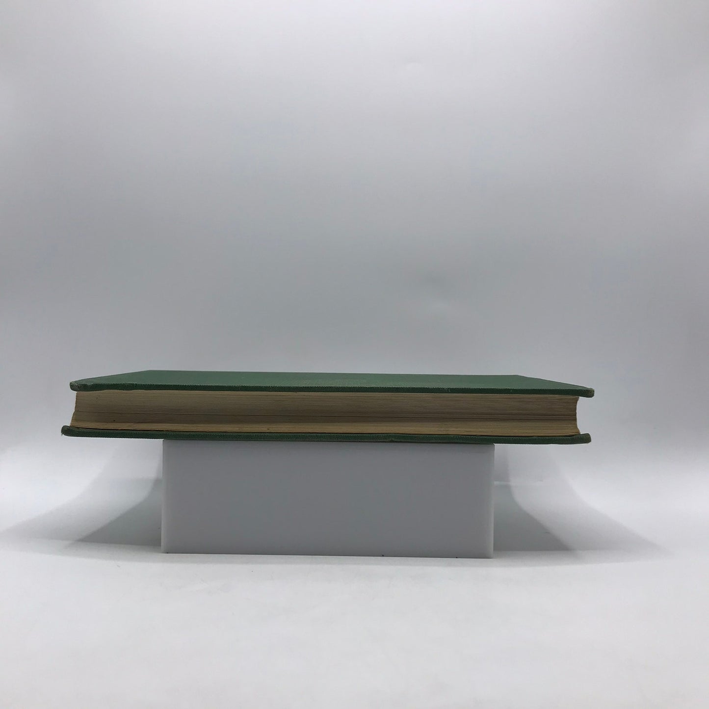 Text Book of Meat Hygiene Richard Heinrich Edelmann Inspection Reference Guide