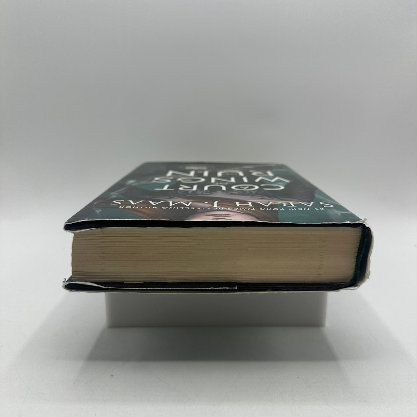 A Court of Wings and Ruin Sarah J Maas Indigo Exclusive Fan Art Fantasy OOP