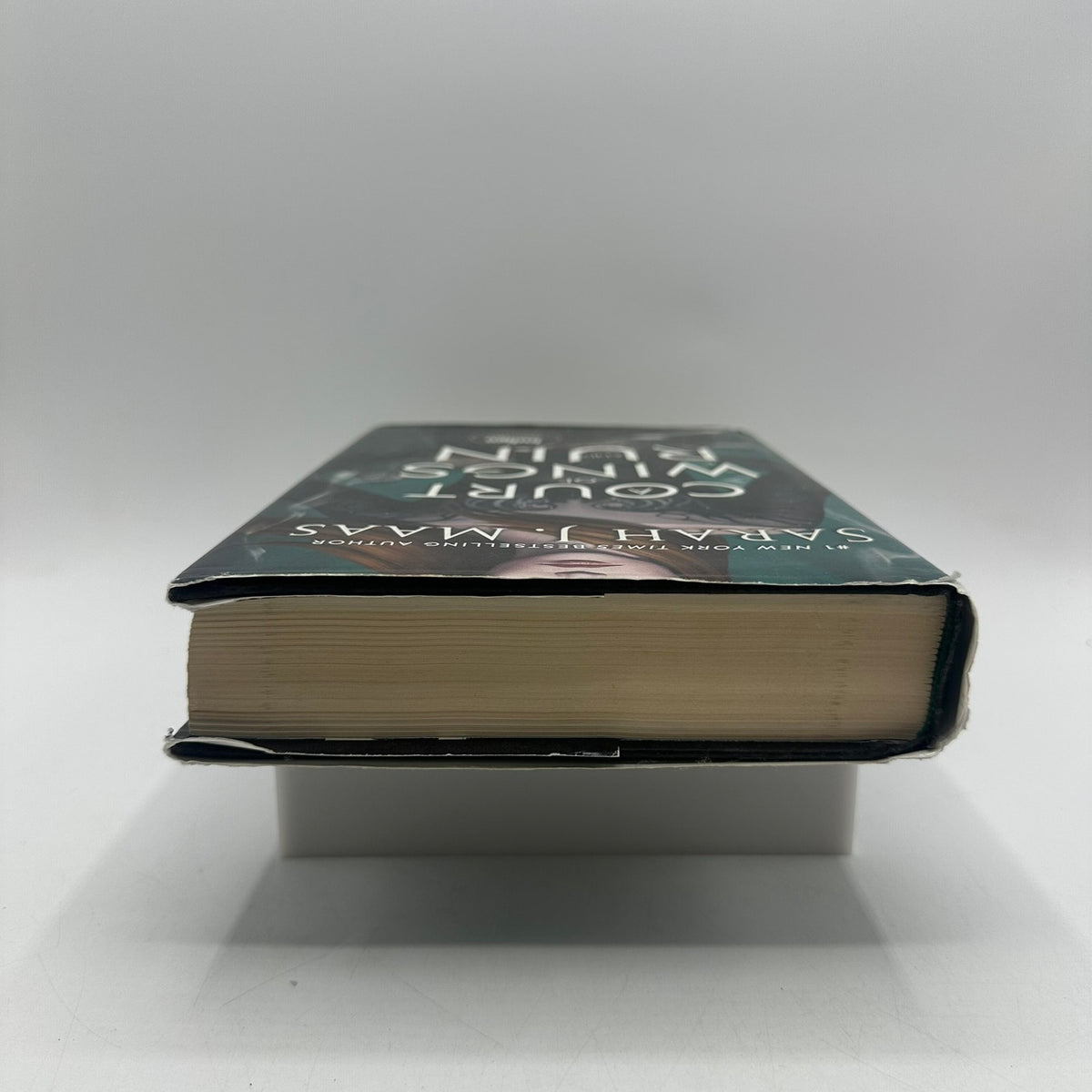 A Court of Wings and Ruin Sarah J Maas Indigo Exclusive Fan Art Fantasy OOP