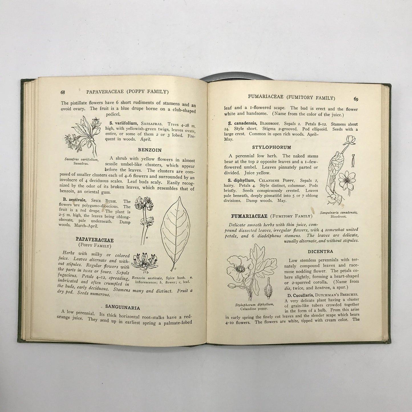 A Spring Flora For High Schools Illustrated Hardcover Book by Cowles & Coulter