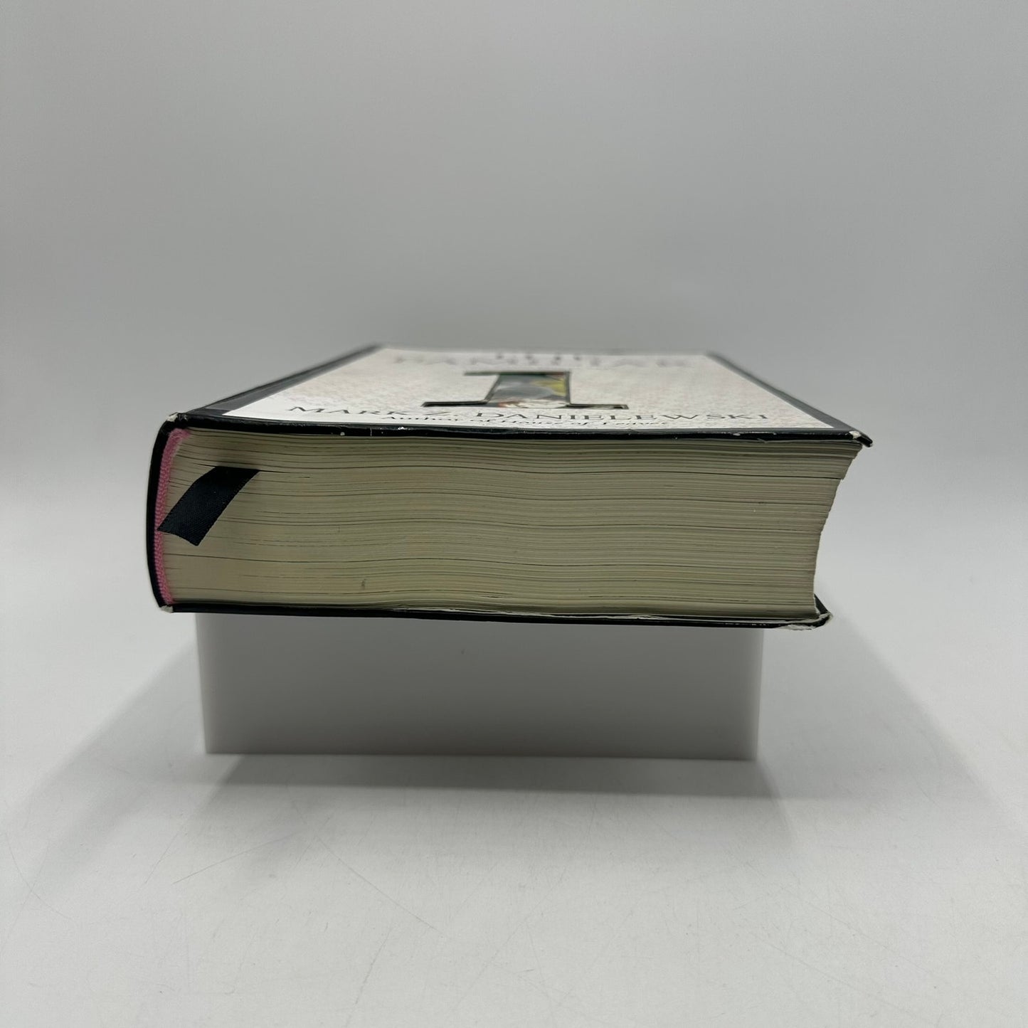The Familiar Volume 1 One Rainy Day in May Mark Z. Danielewski Thriller Suspense