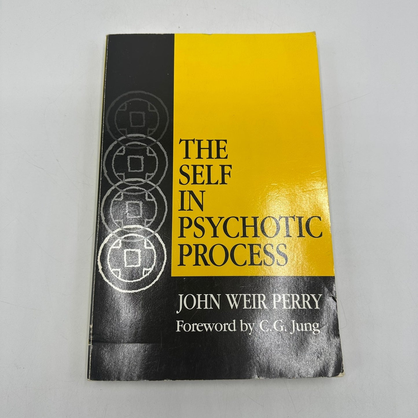 The Self in Psychotic Process by John Weir Perry Psychoanalysis Schizophrenia