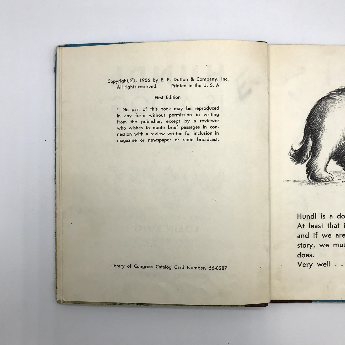 Hundl is a Dog Children's Fiction Hardcover Book by Robin King 1st Edition 1956