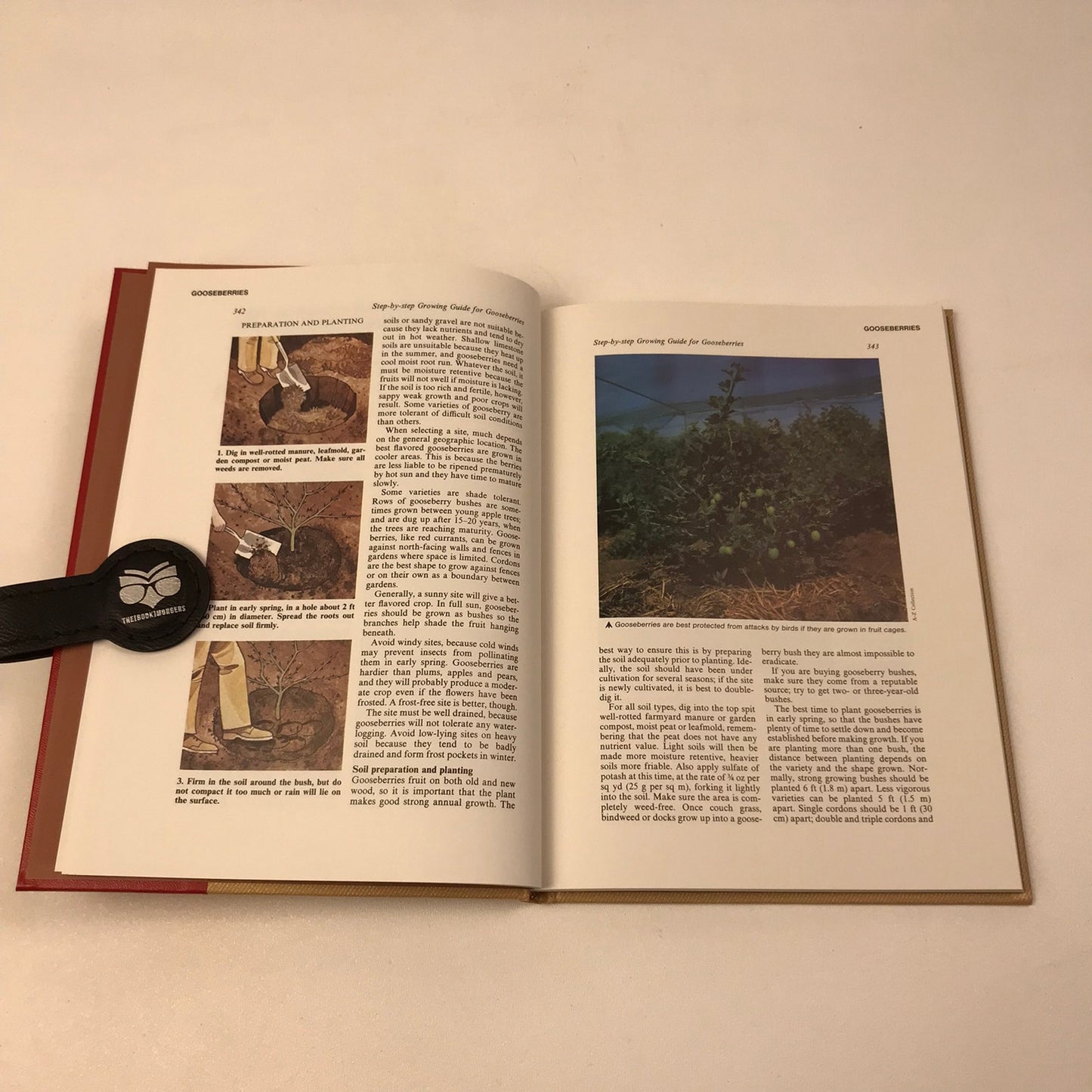 Complete Handyman Do It Yourself Encyclopedia 26 Volume Set Science Math Garden