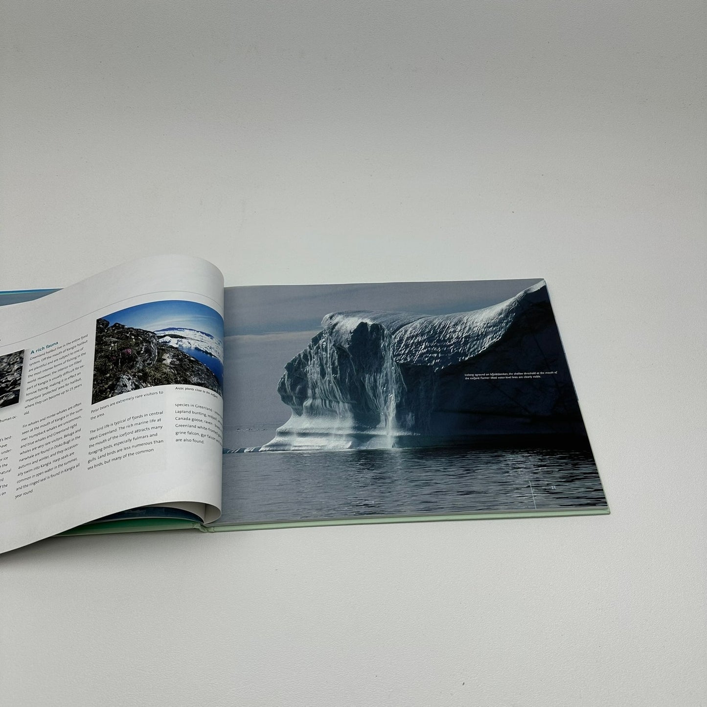 Ilulissat Icefjord A World Heritage Site Earth Sciences Geology Nature Landscape