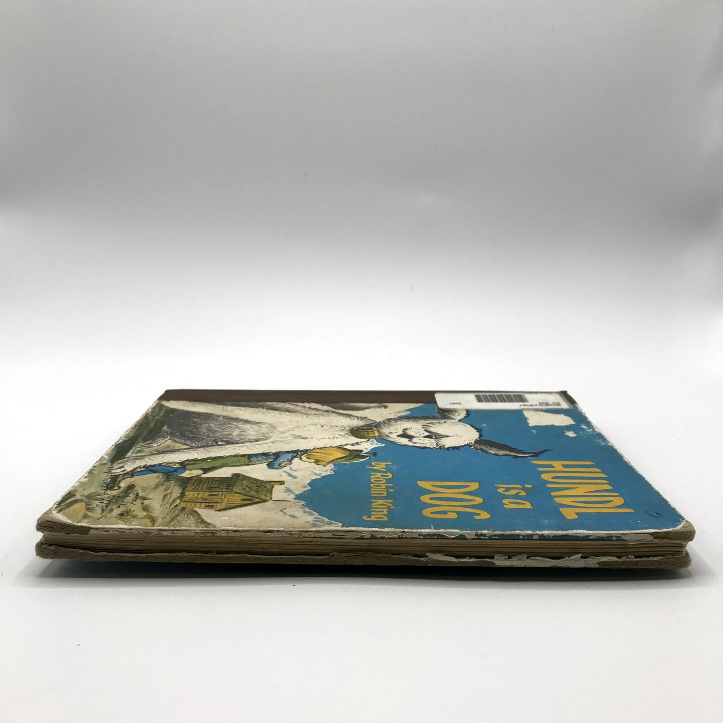 Hundl is a Dog Children's Fiction Hardcover Book by Robin King 1st Edition 1956