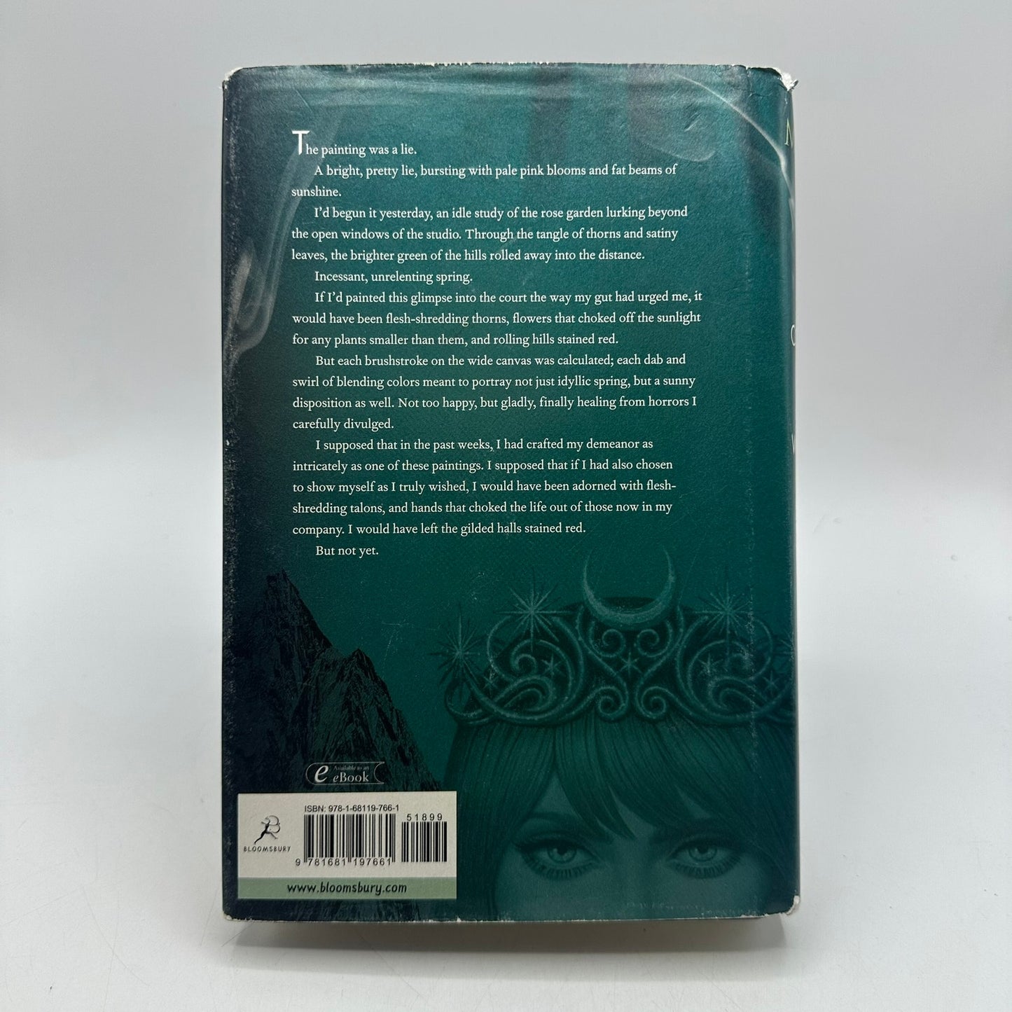 A Court of Wings and Ruin Sarah J Maas Indigo Exclusive Fan Art Fantasy OOP
