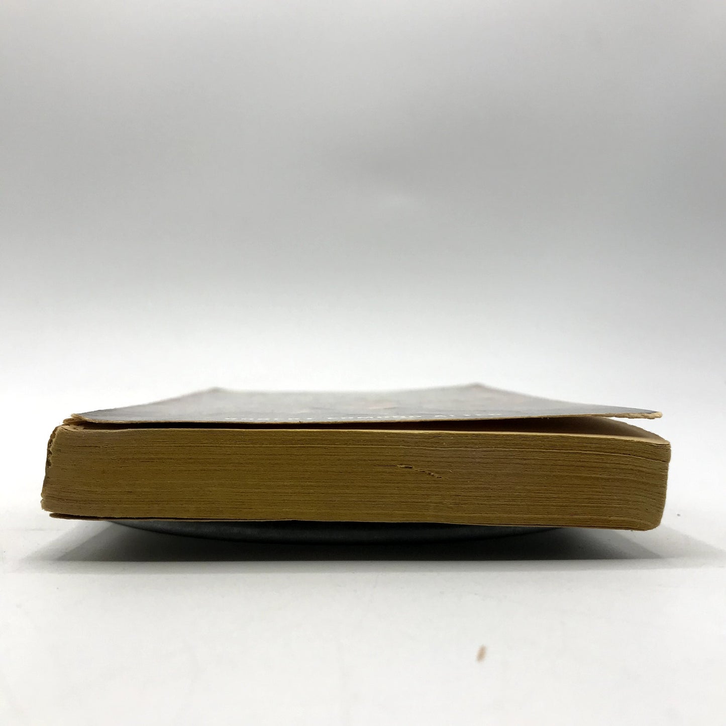 Swamp Sister Paperback Mystery Novel by Robert Edmond Alter First Printing 1961