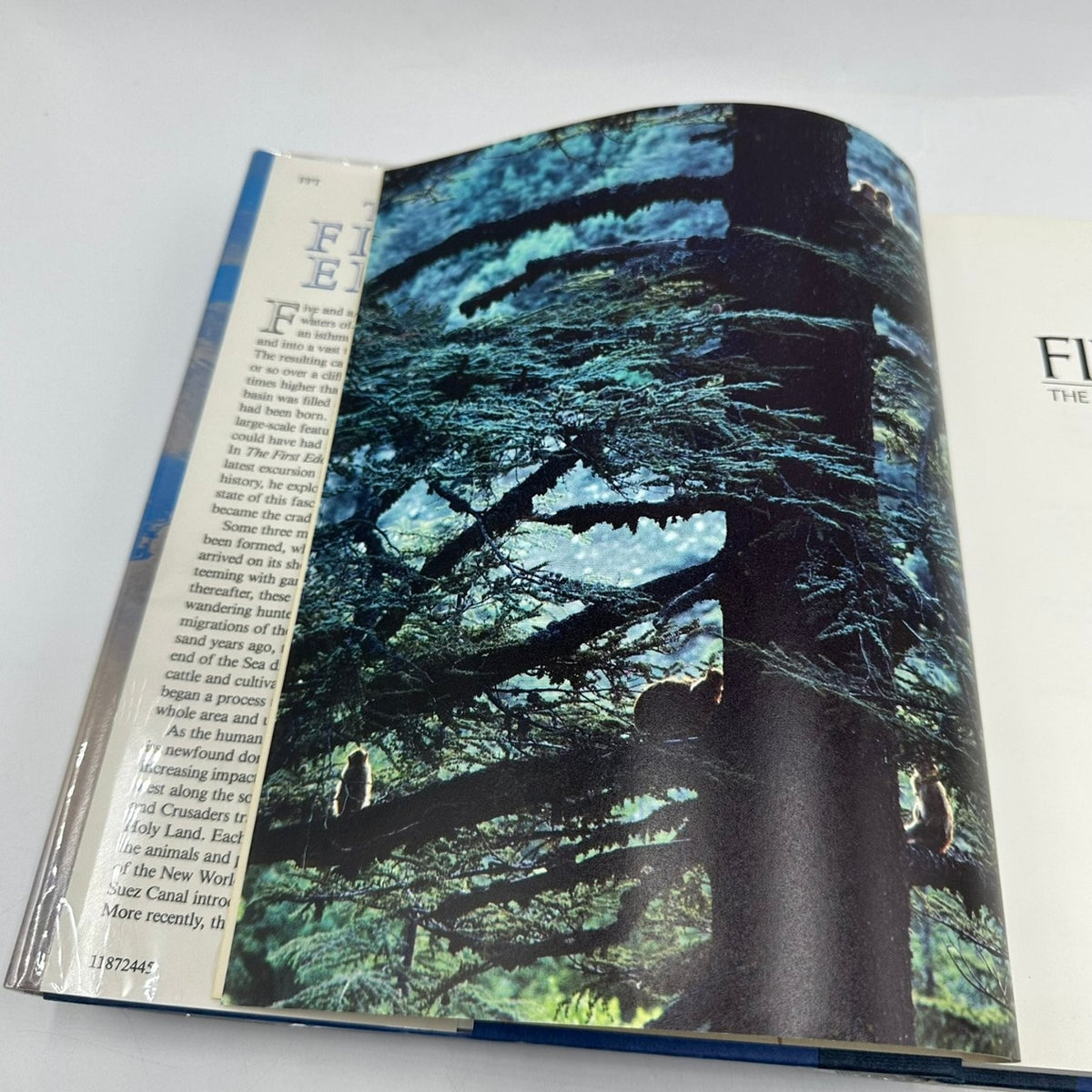 The First Eden David Attenborough 1987 First Edition Mediterranean World Little