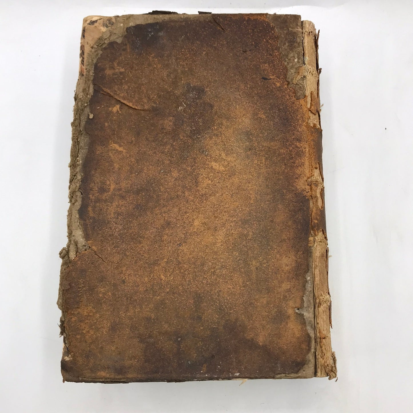 A Copious and Critical Latin English Lexicon E A Andrews Language Lexicography