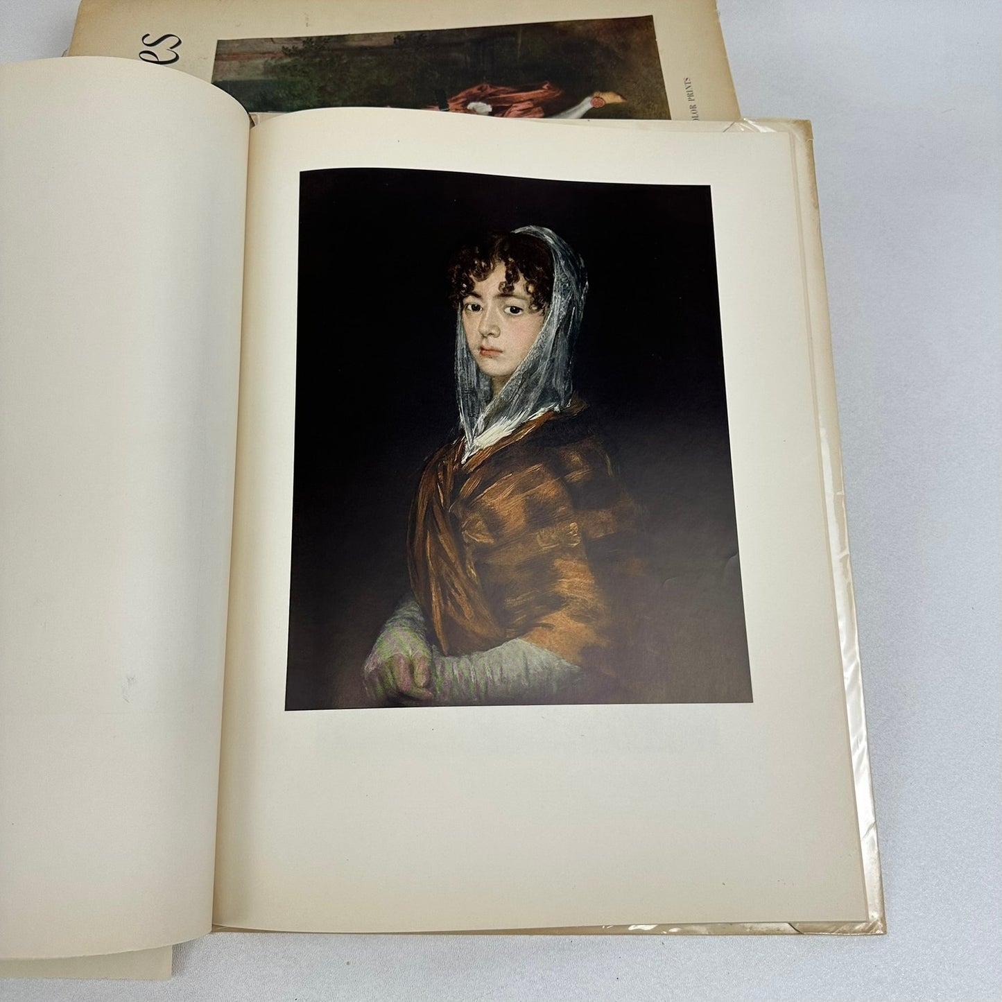 Abrams Art Books Lot of 10 Artist Monographs 16 Full Color Prints Each Paintings