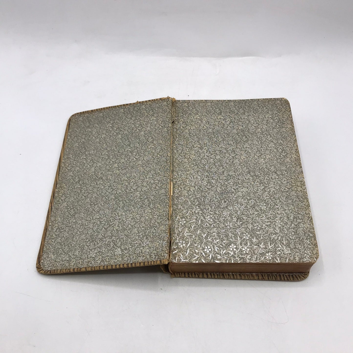 The Poetical Works of Robert Burns Nature Rural Life poems Poetry Collection