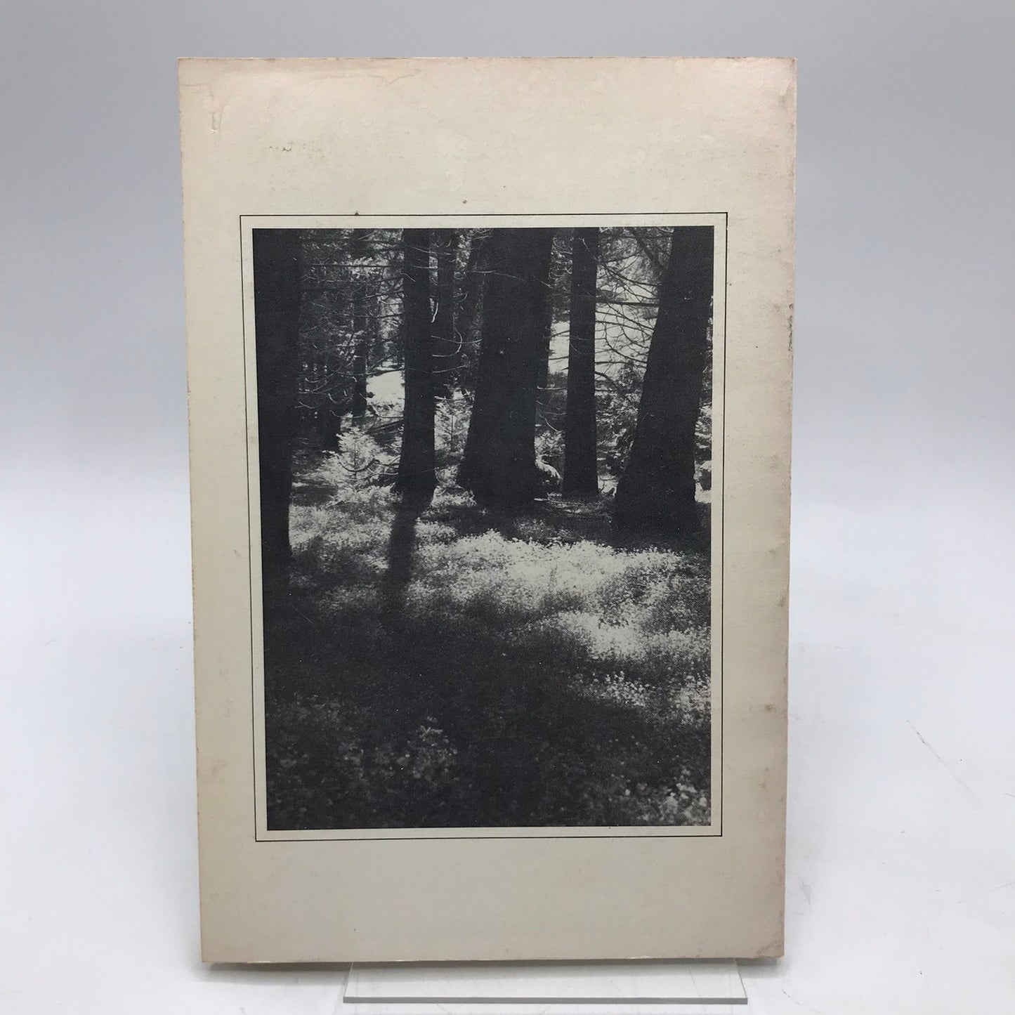 Midgebuzzings Signed Paperback by Ann Williams Illustrated First Edition 1985