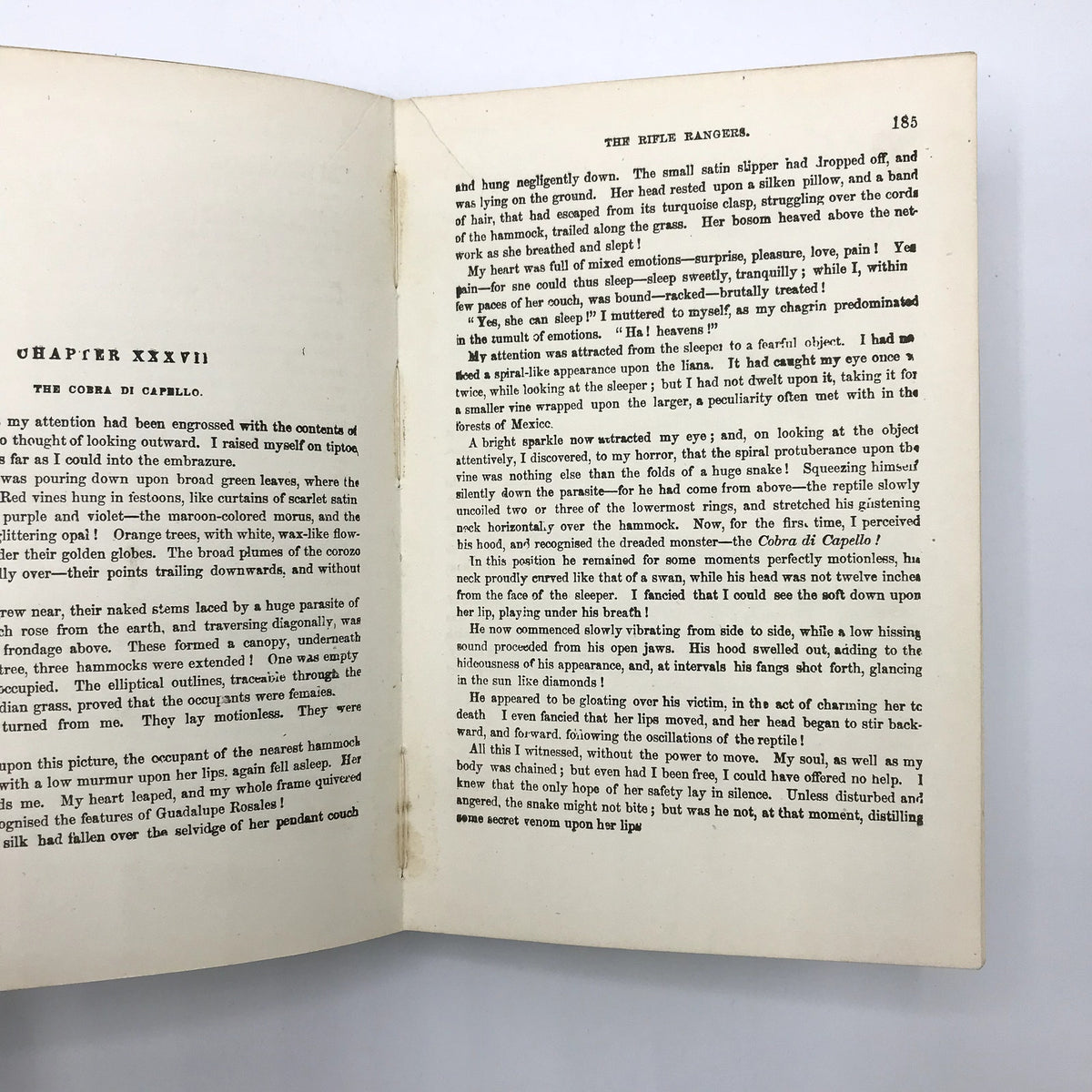 The Rifle Rangers Illustrated Vintage Hardcover Book by Captain Mayne Reid 1897